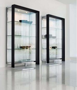 contemporary-glass-diplay-cabinet